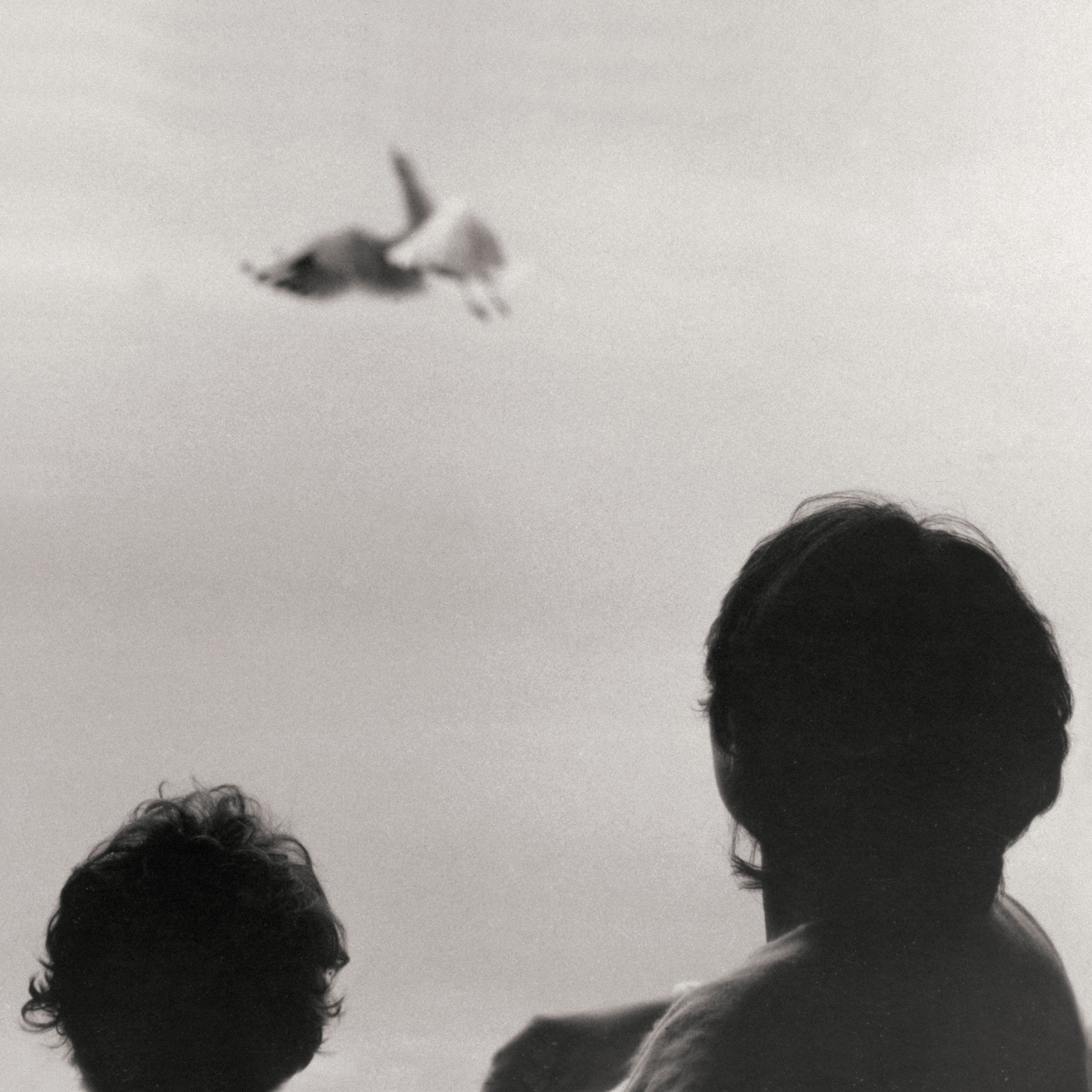Before and Now Seems Infinite, Federico Albanese