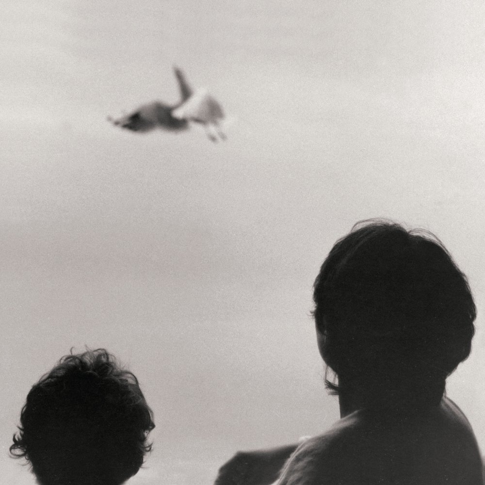 Before and Now Seems Infinite, Federico Albanese
