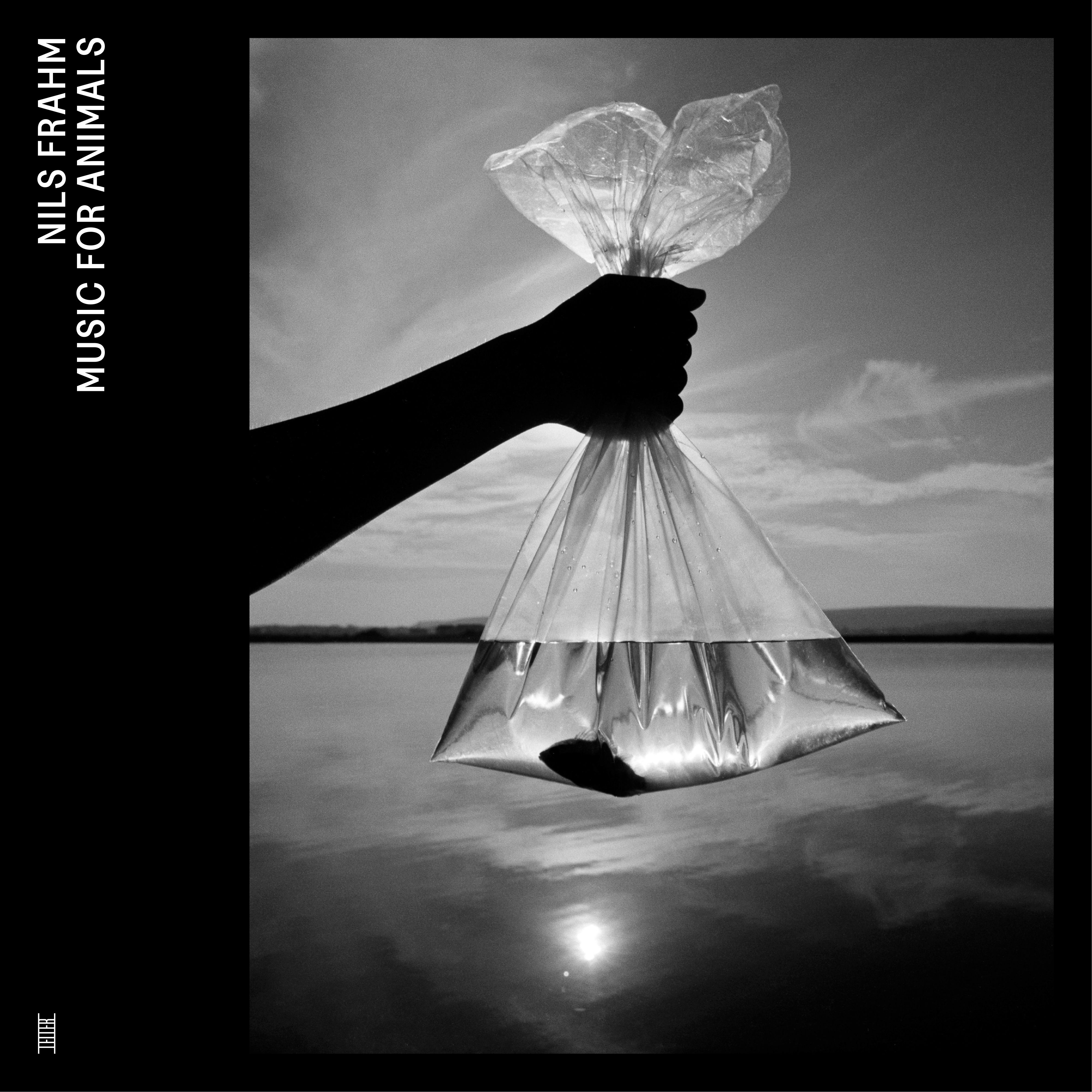Music for Animals, Nils Frahm