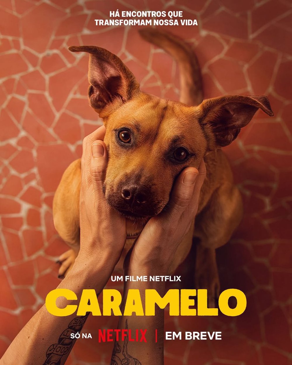 Caramelo, Diego Freitas