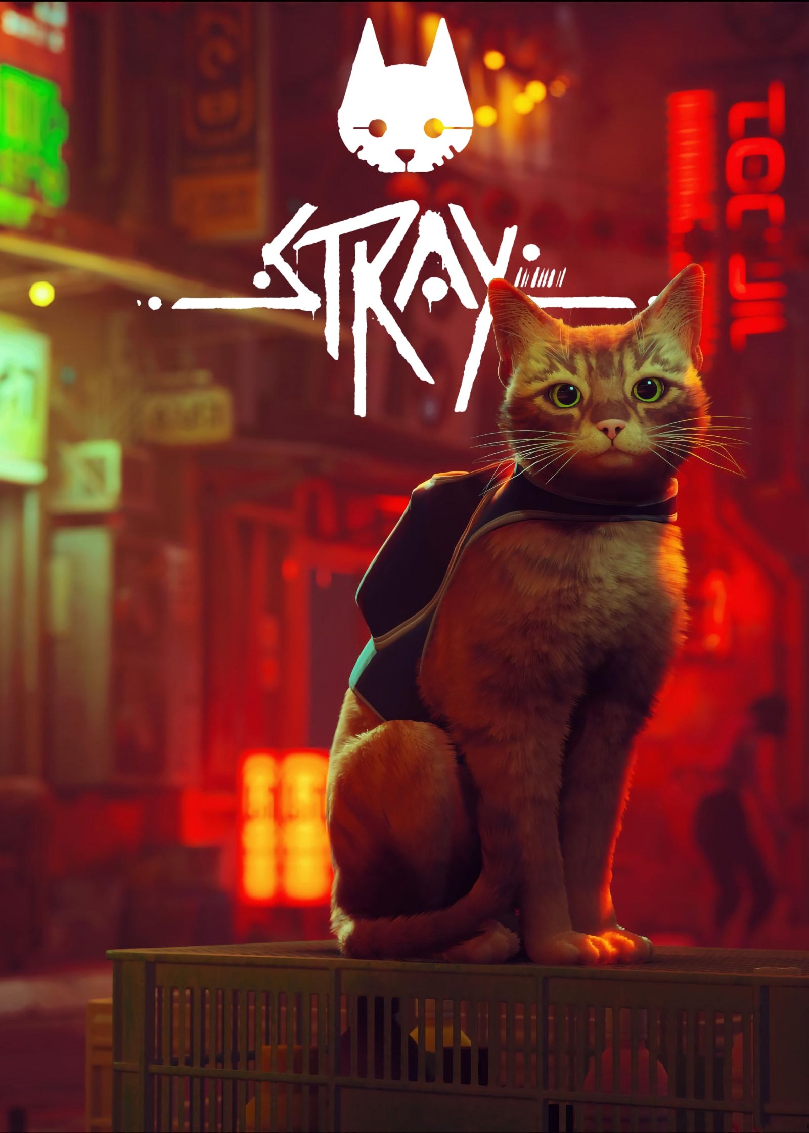 Stray