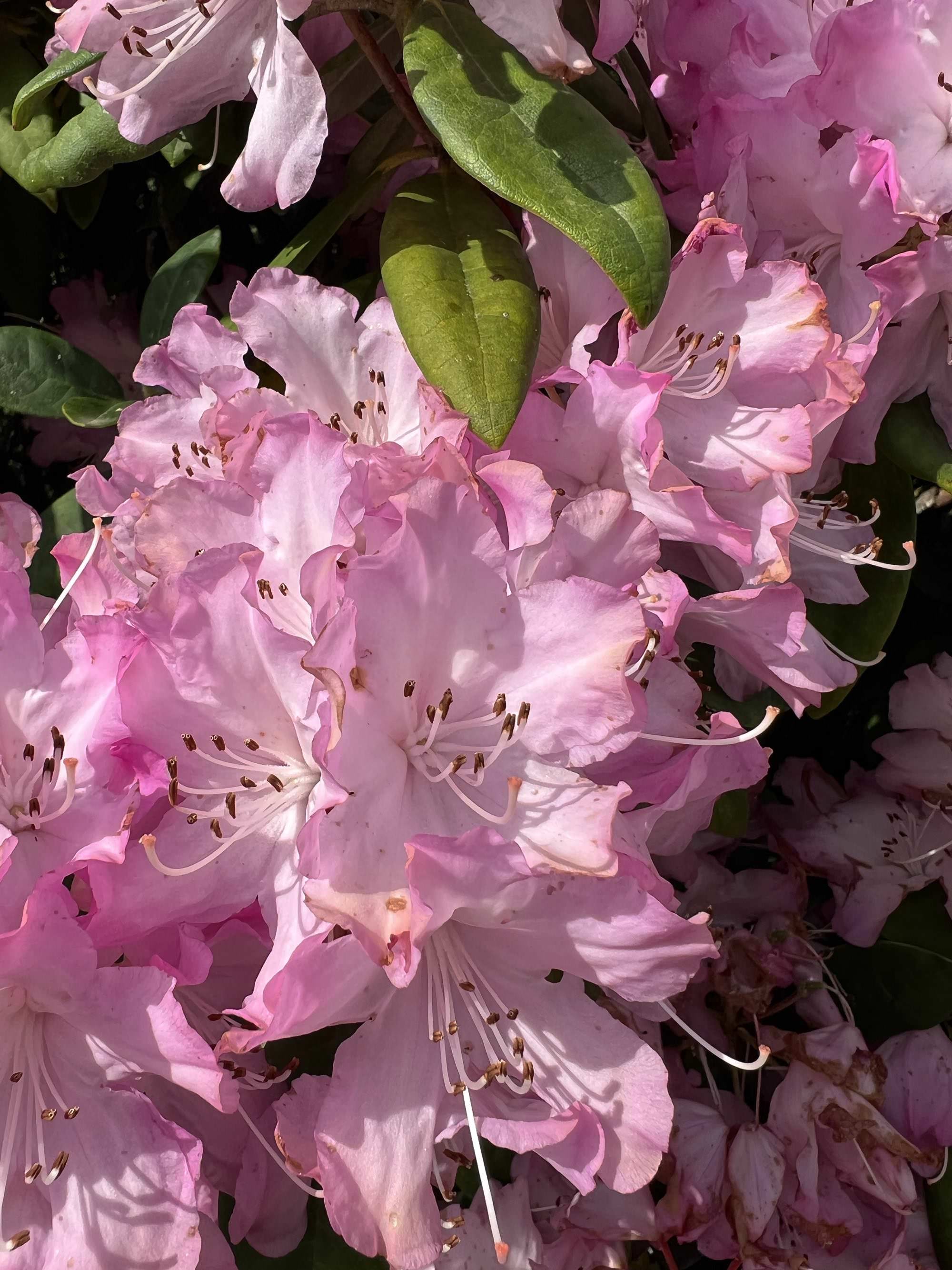 Le domaine de Boutiguéry juste avant le printemps