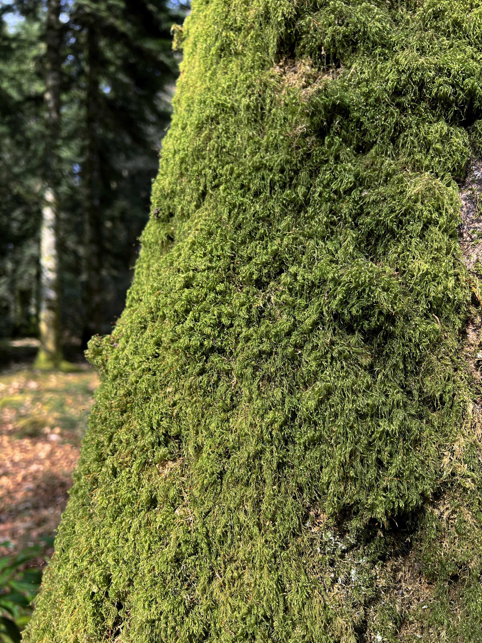 Le domaine de Boutiguéry juste avant le printemps