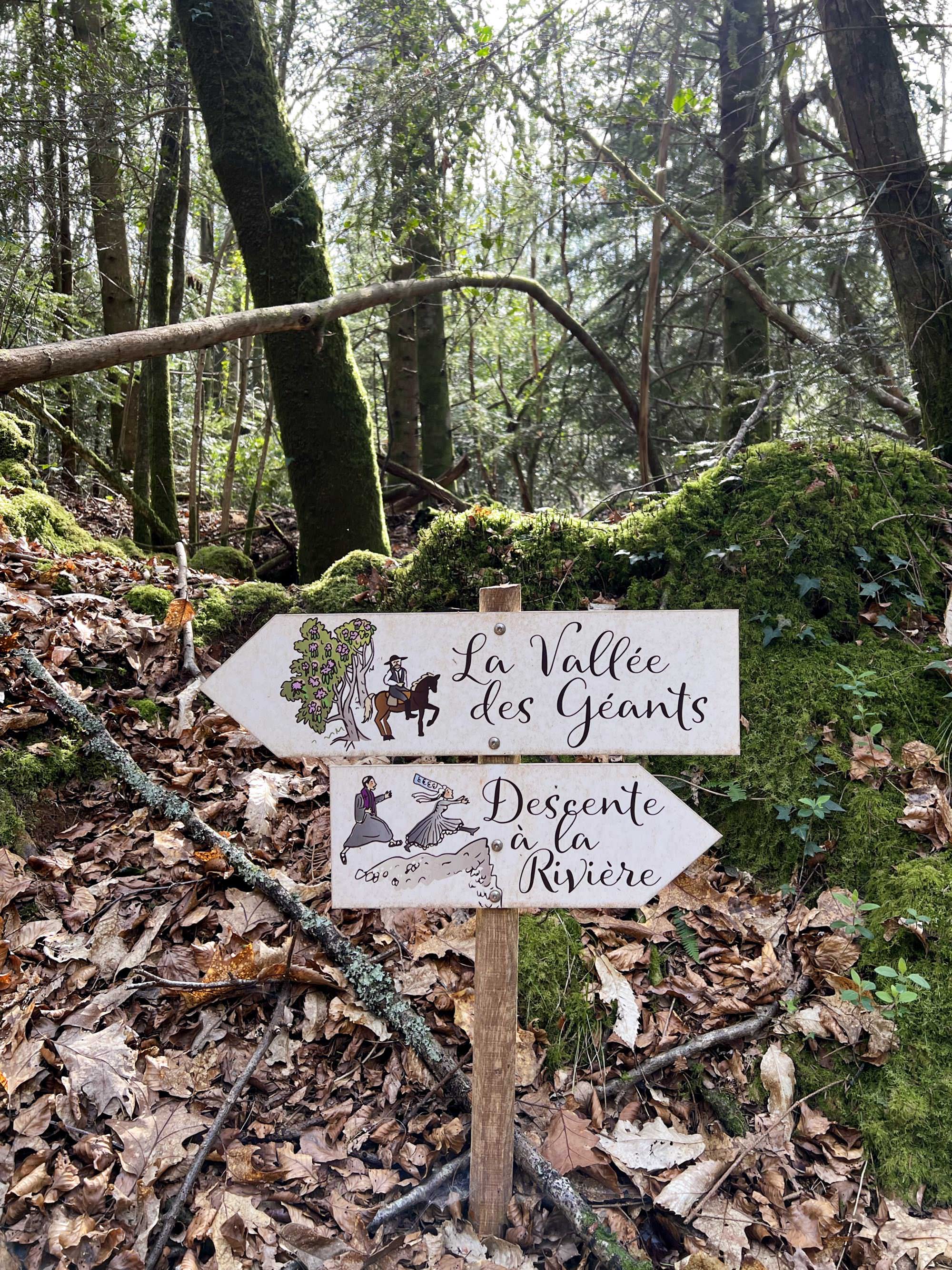 Le domaine de Boutiguéry juste avant le printemps