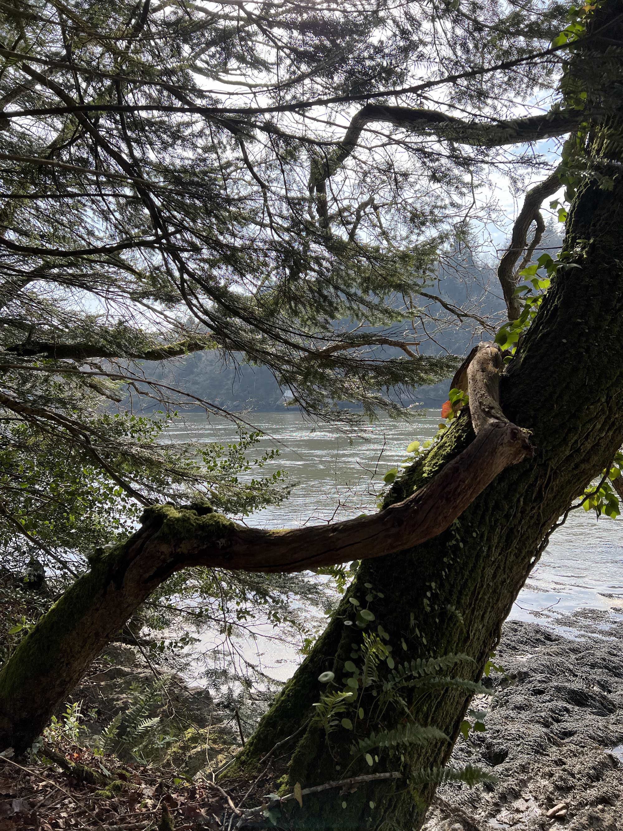 Le domaine de Boutiguéry juste avant le printemps