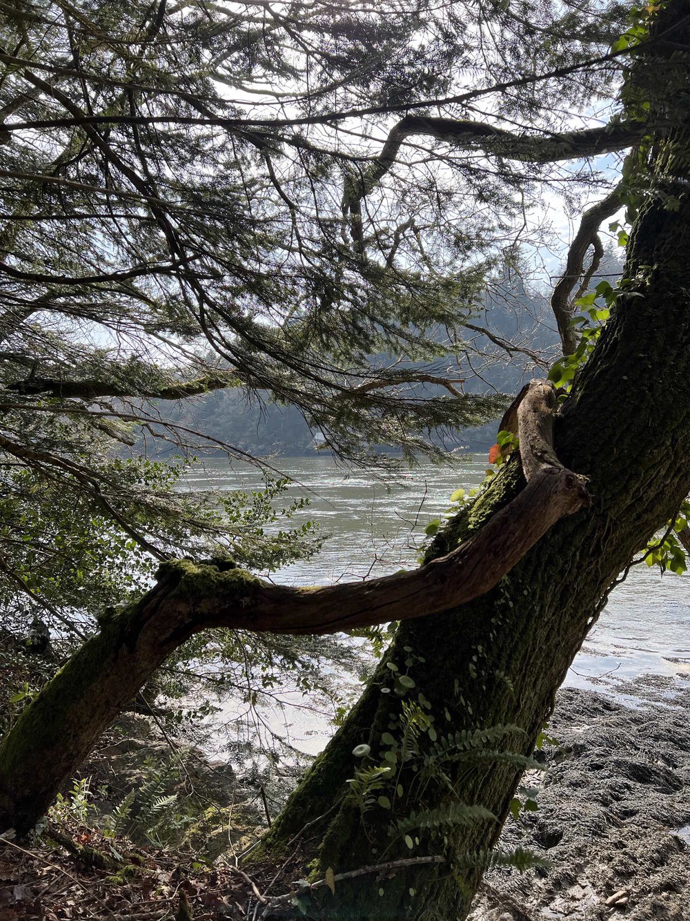 Le domaine de Boutiguéry juste avant le printemps
