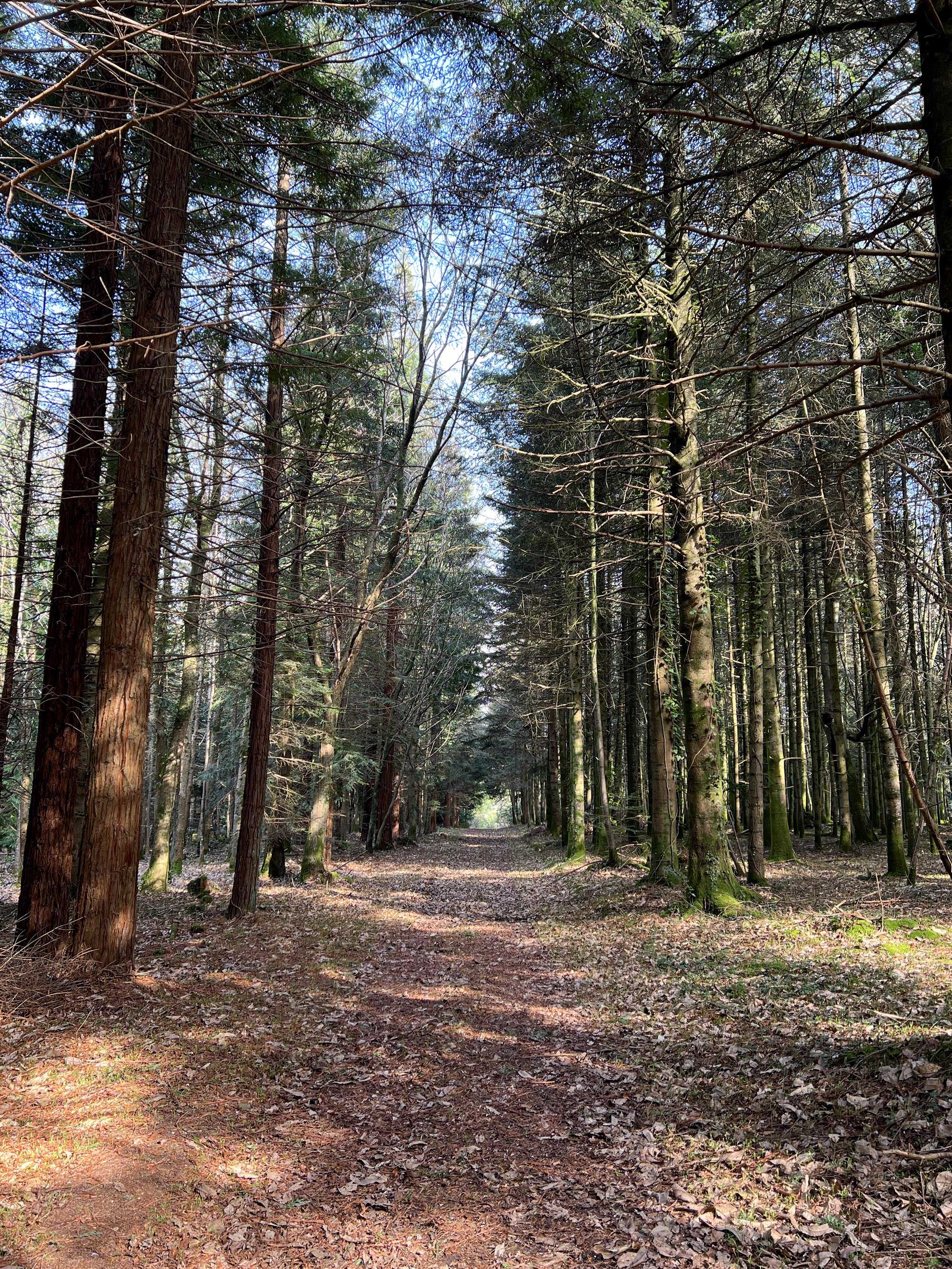 Le domaine de Boutiguéry juste avant le printemps