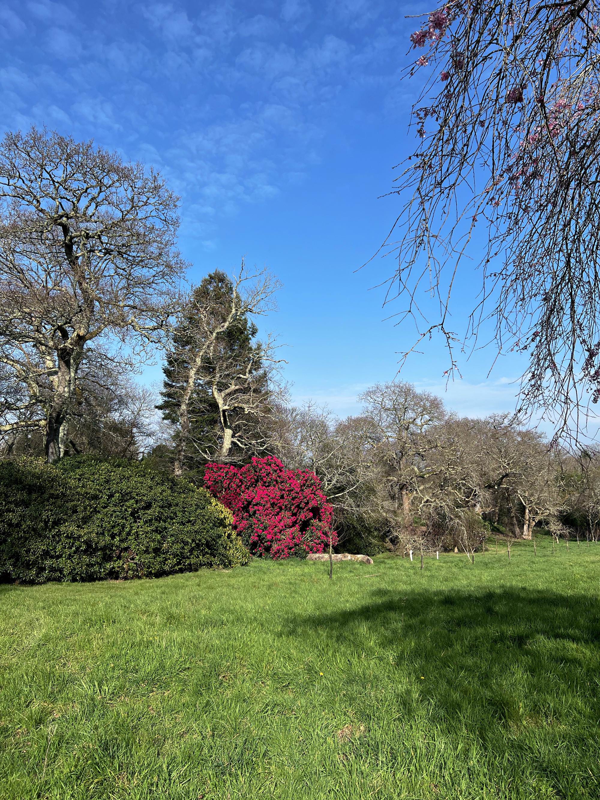 Le domaine de Boutiguéry juste avant le printemps
