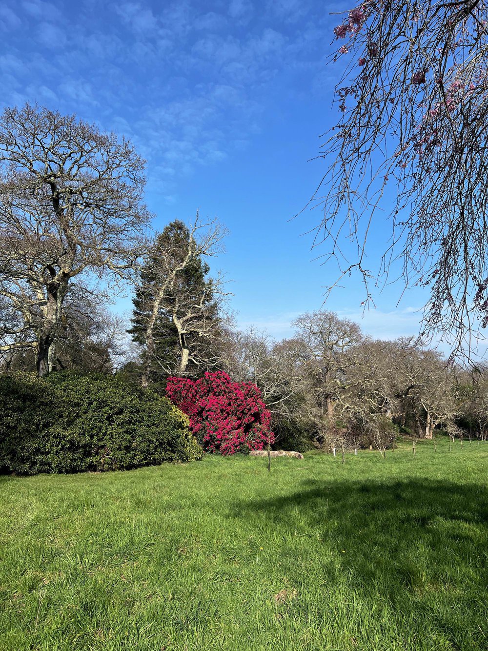 Le domaine de Boutiguéry juste avant le printemps