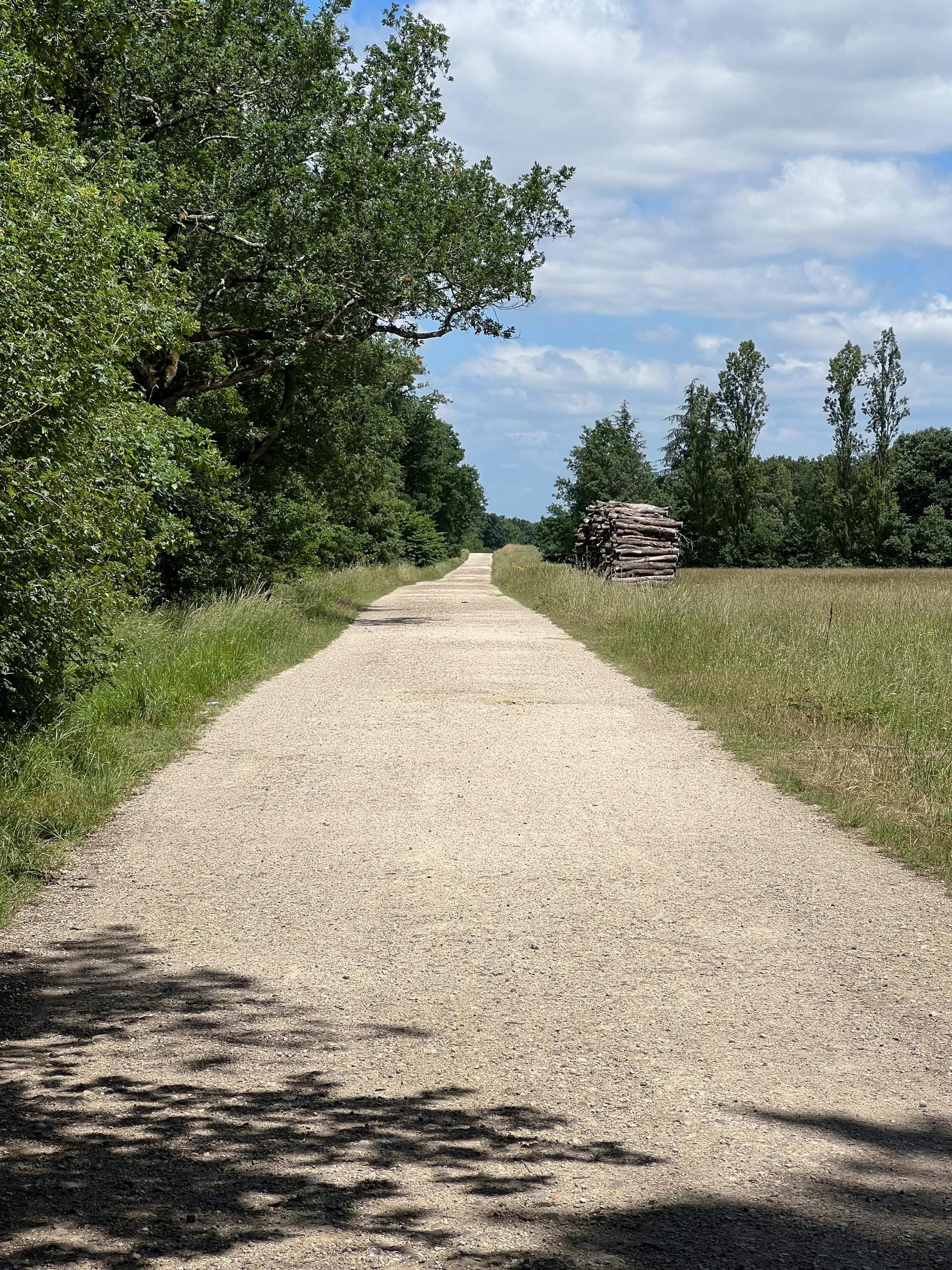 Forêt de Bouconne