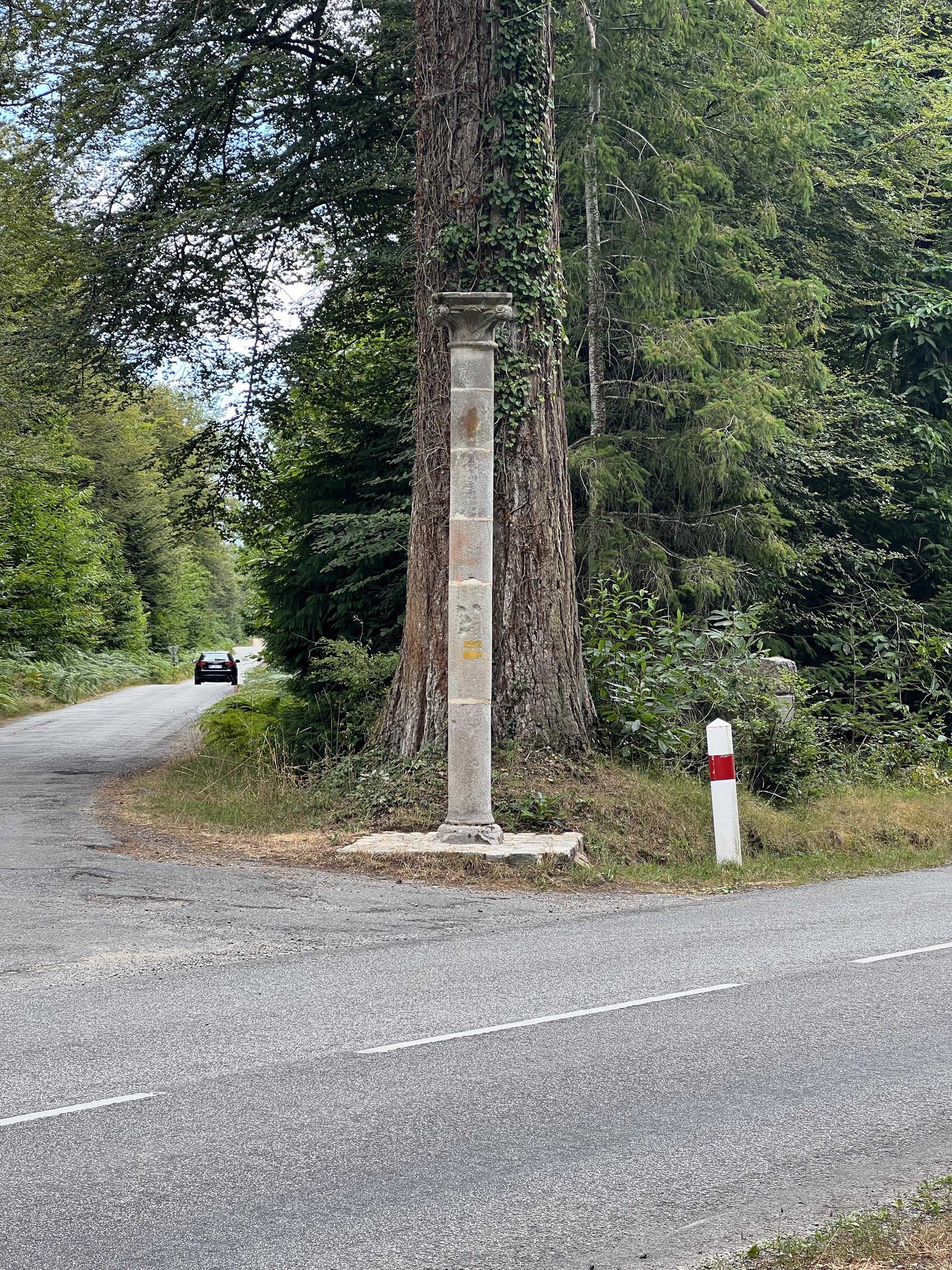 La forêt de Carnoët autour de la colonne Saint-Maurice