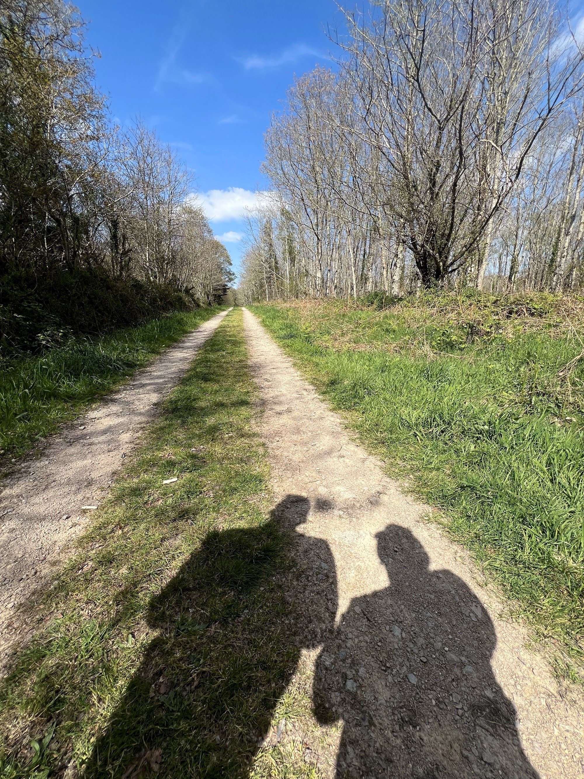 La forêt domaniale de Coatloch