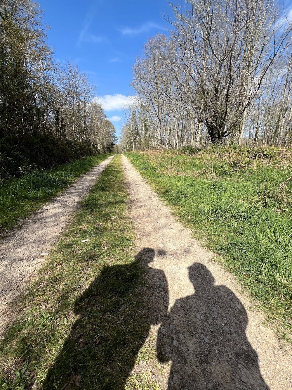 La forêt domaniale de Coatloch