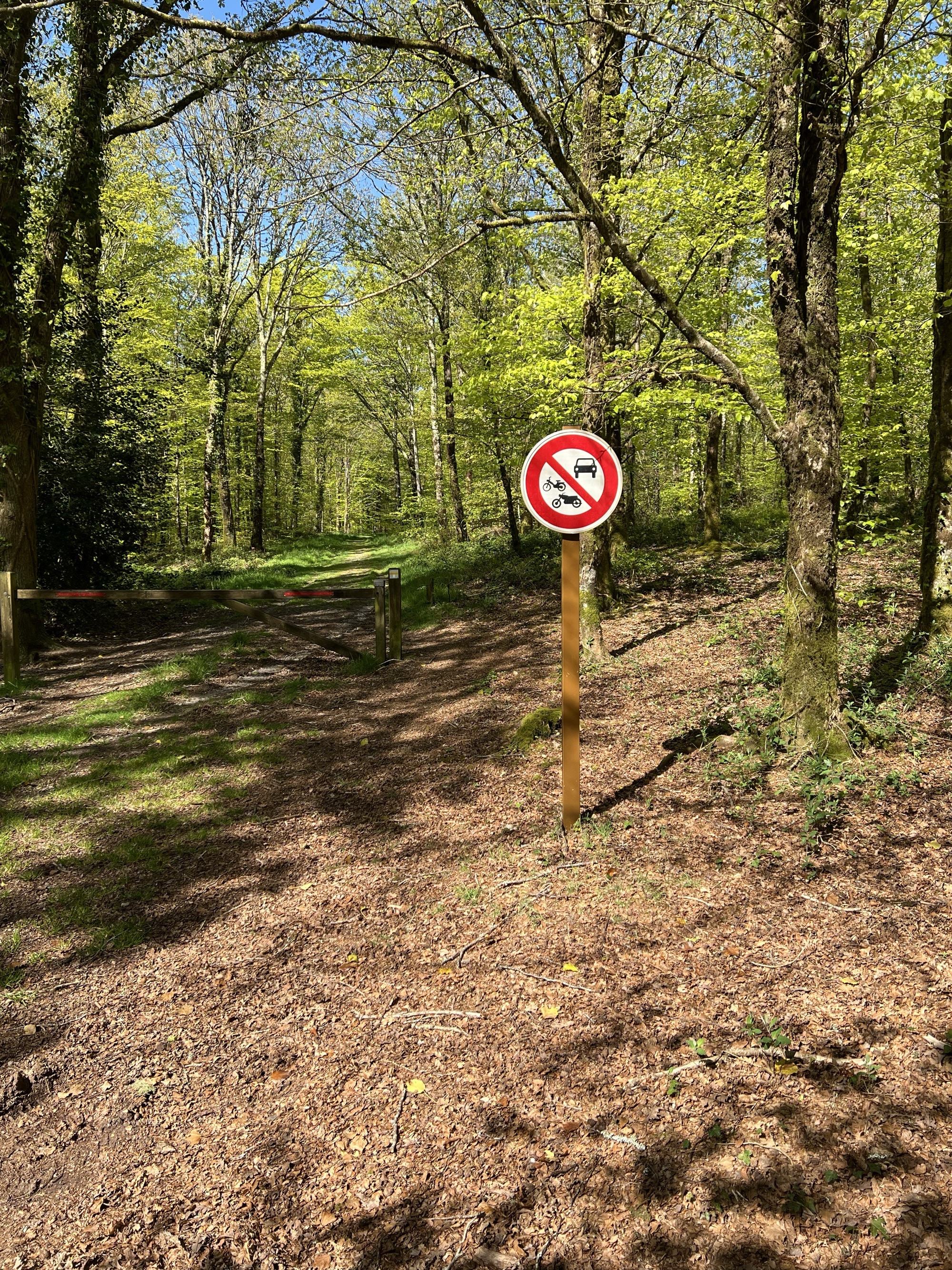 La forêt domaniale de Coatloch