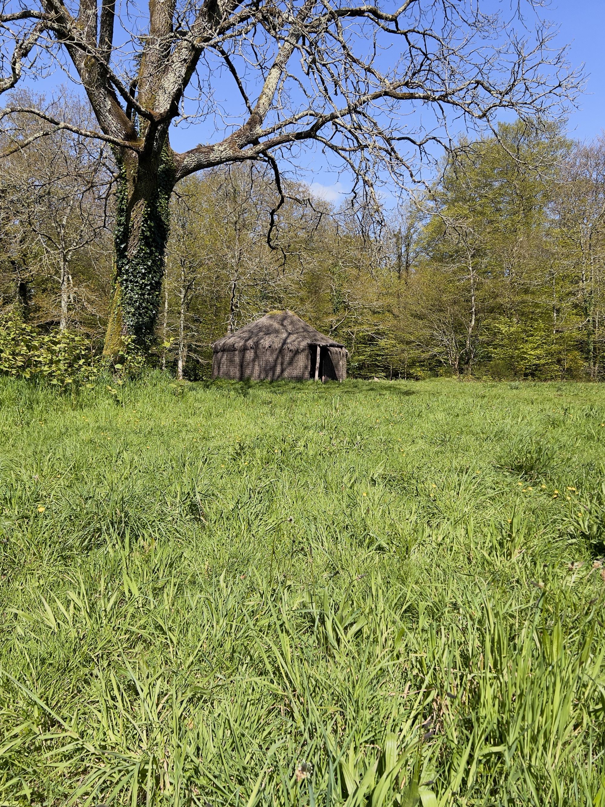 La forêt domaniale de Coatloch