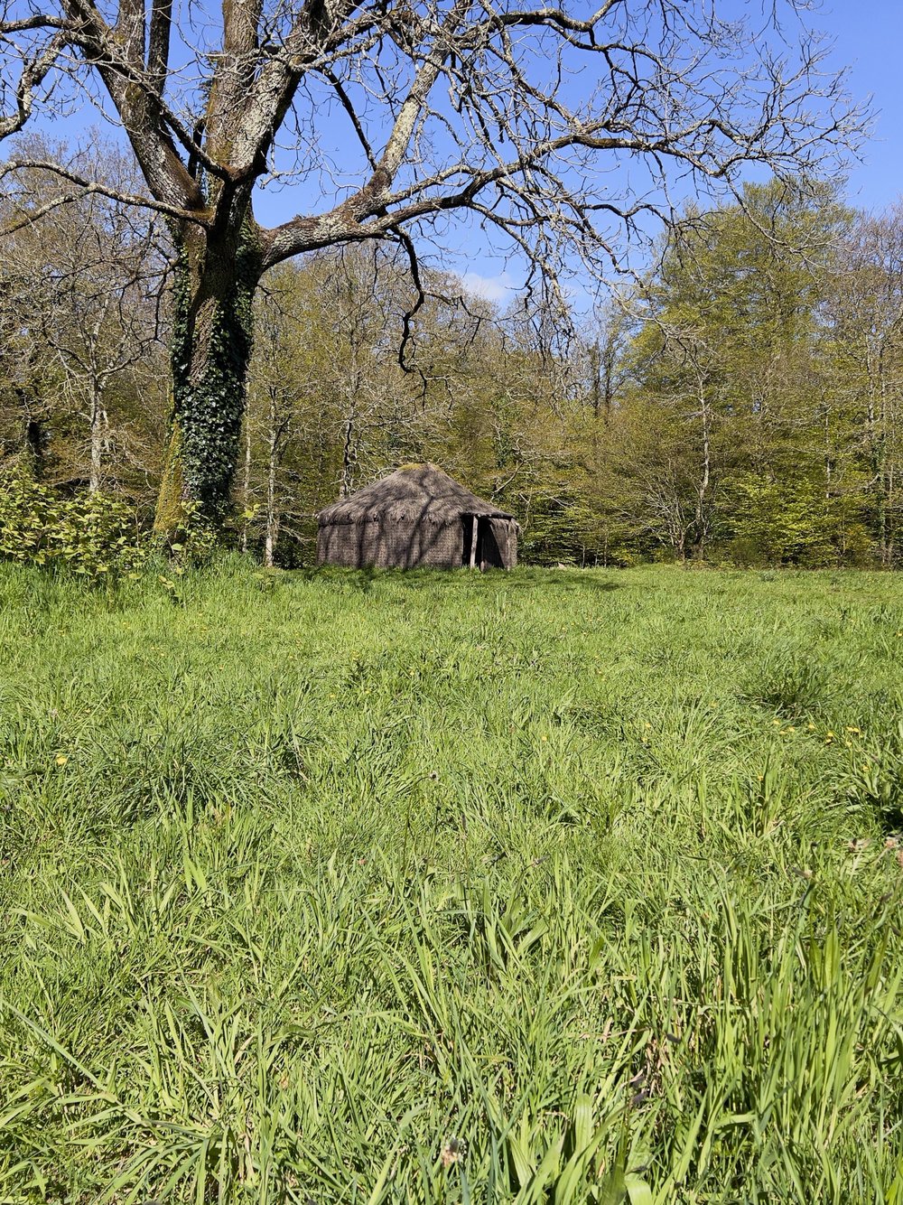 La forêt domaniale de Coatloch