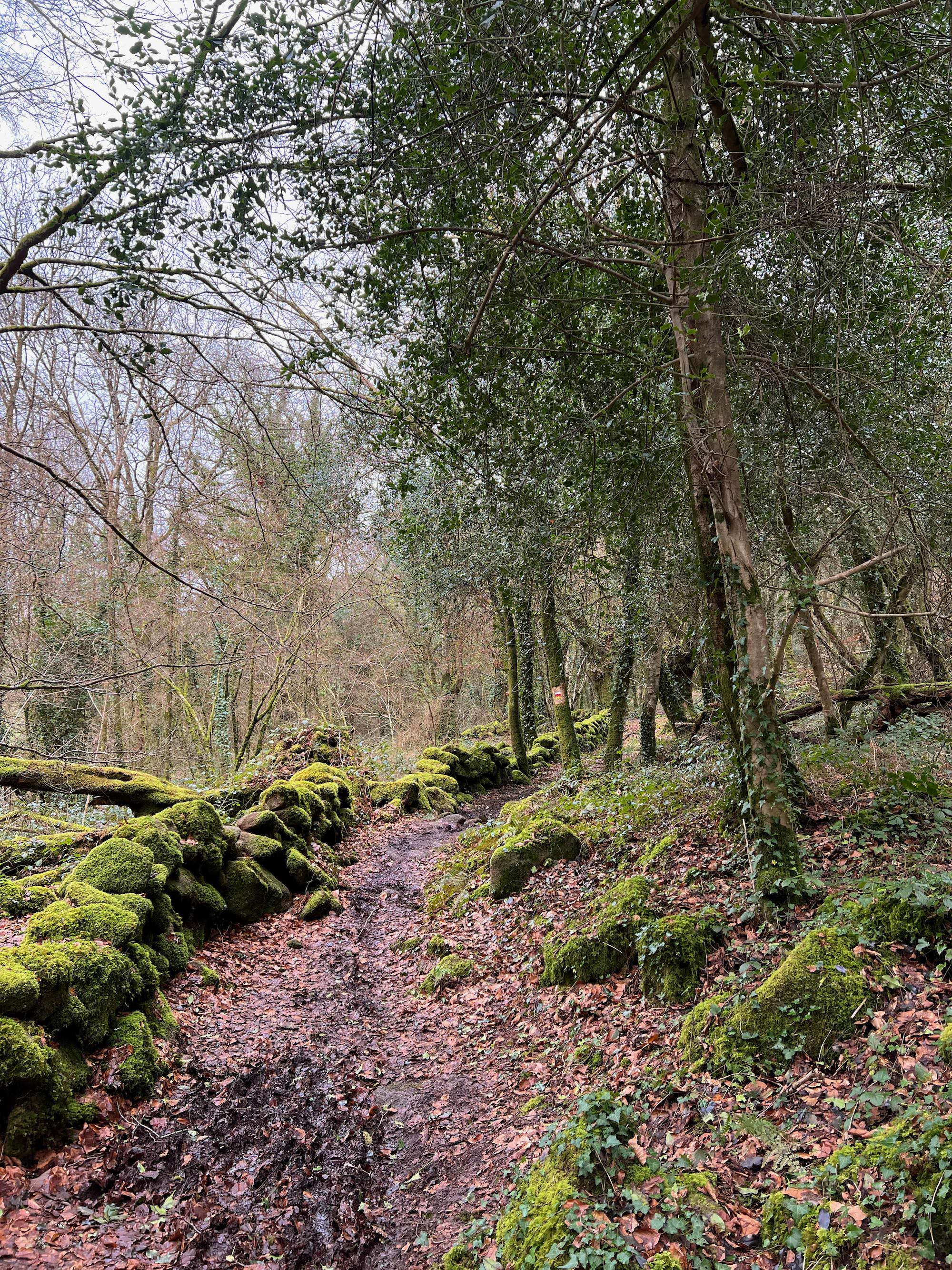 Les Gorges du Stangala, côté Griffonès