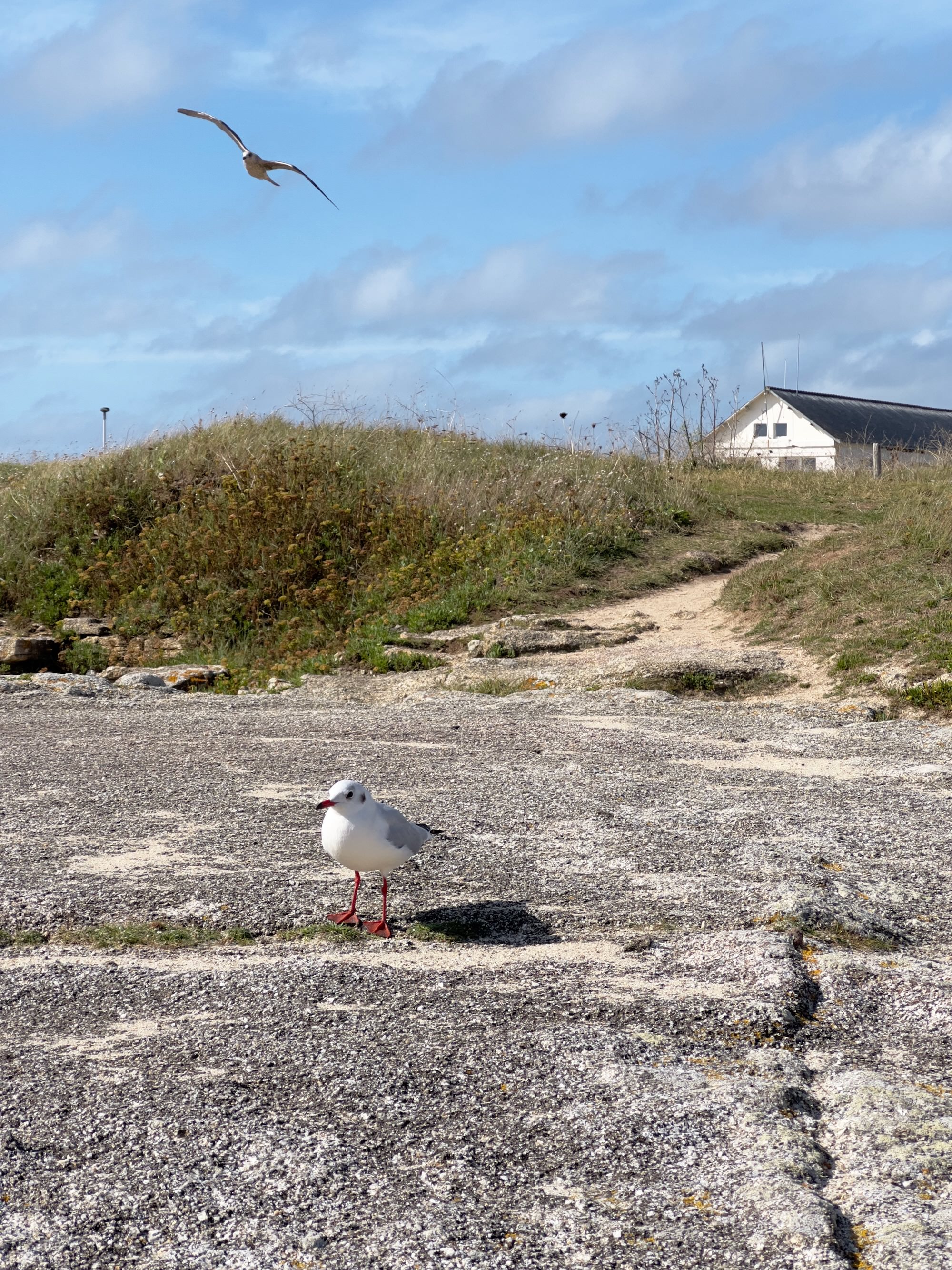 La pointe de Trévignon