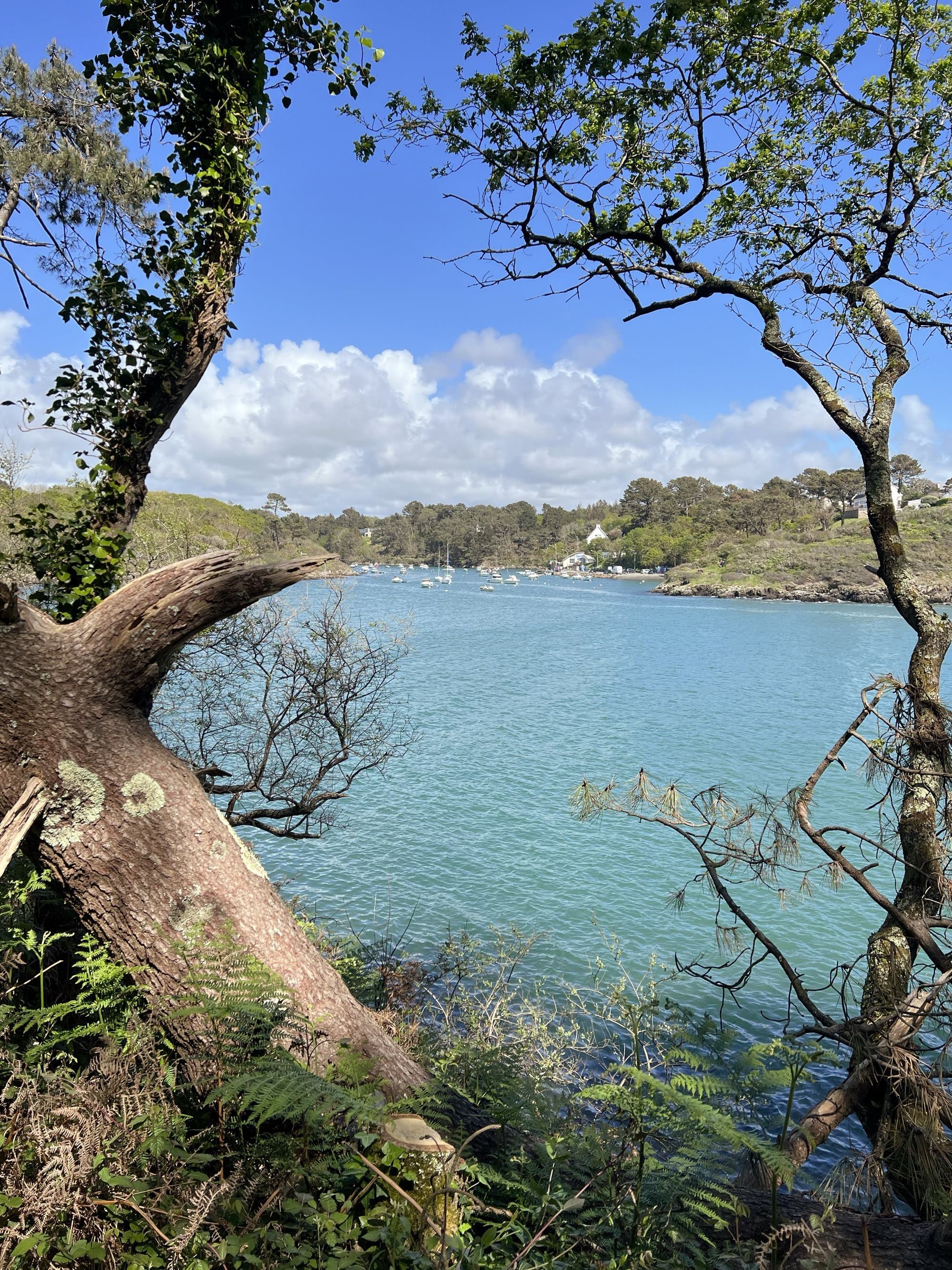 La presqu’île de Merrien