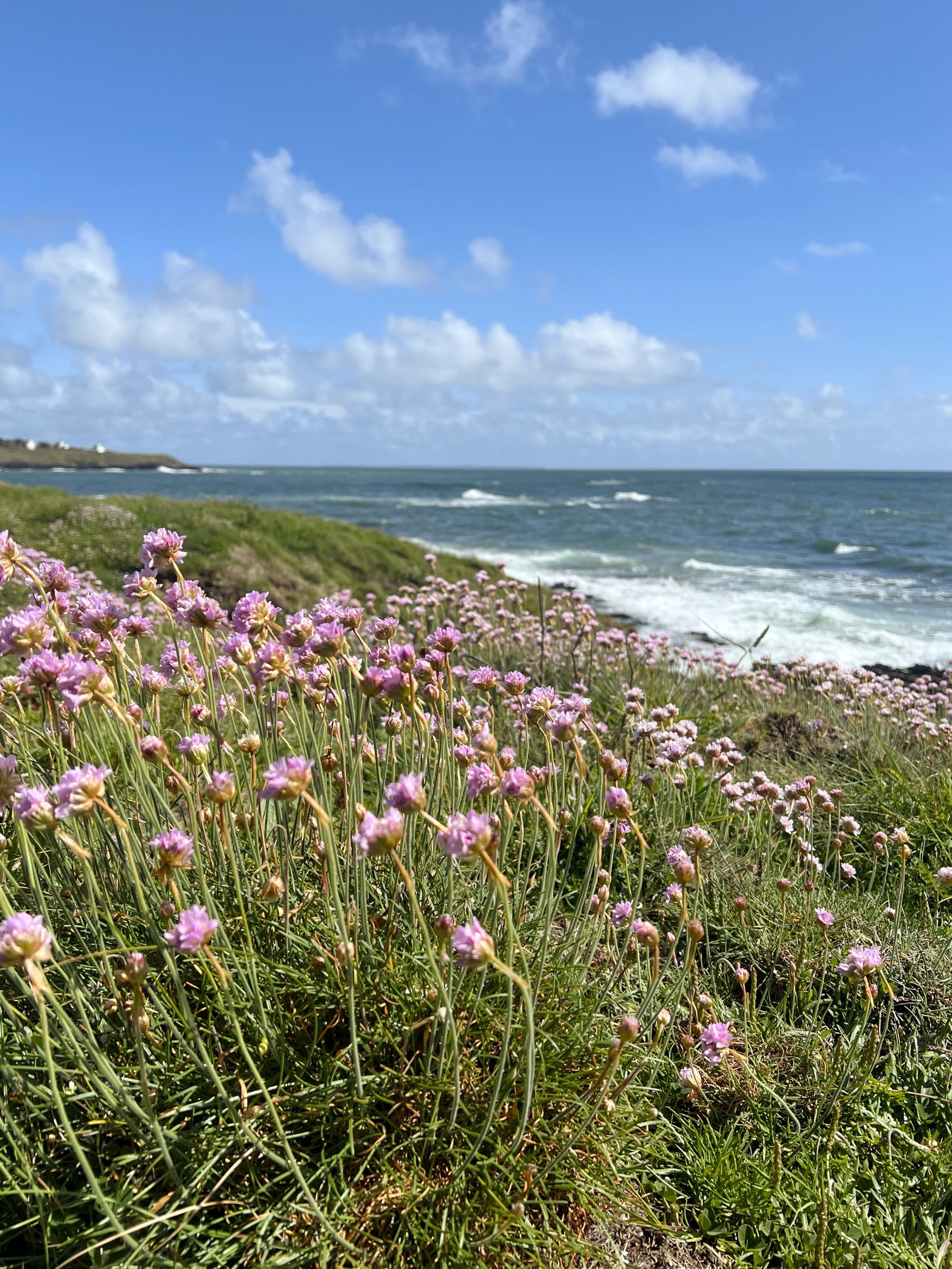 La presqu’île de Merrien
