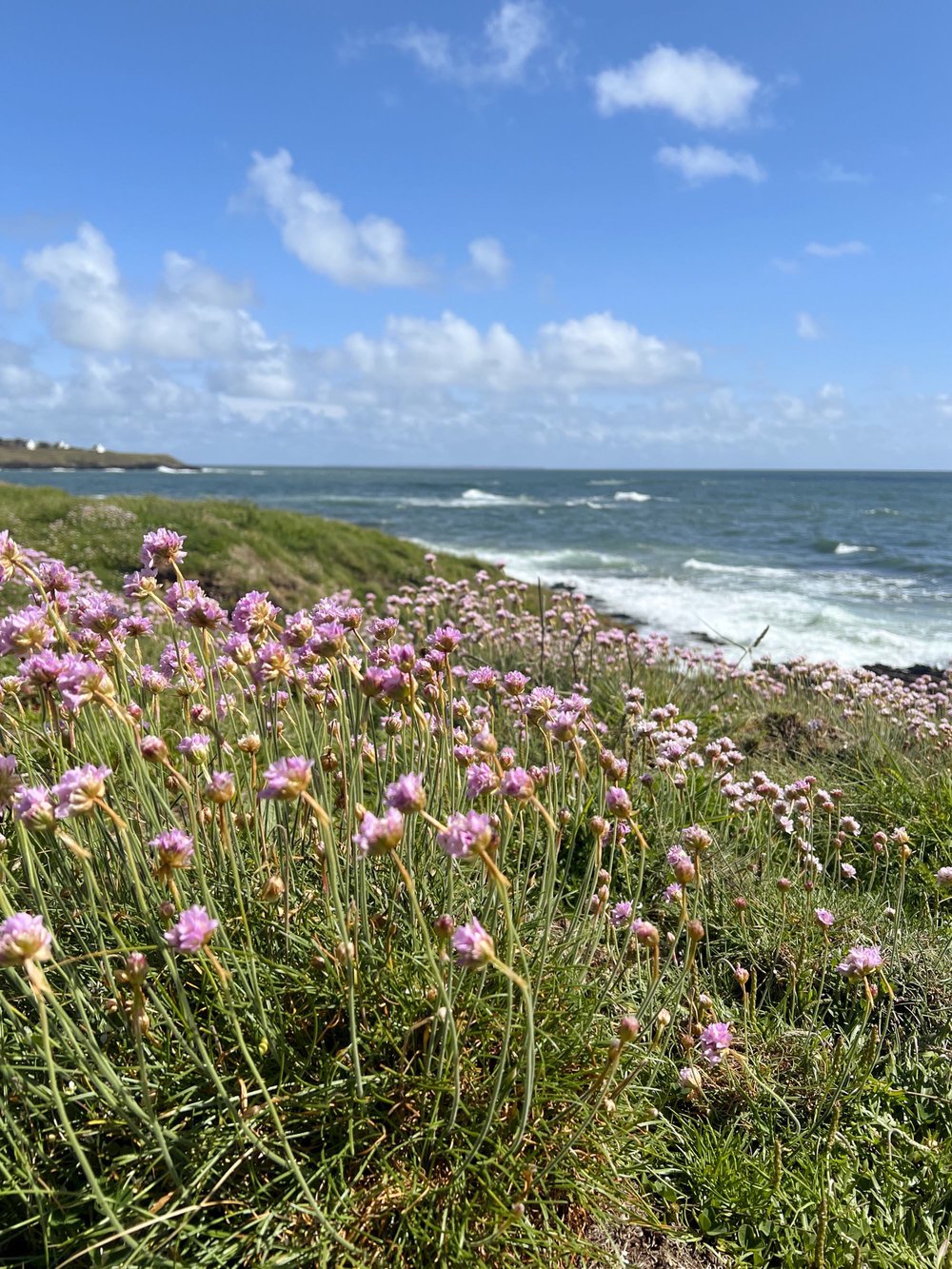 La presqu’île de Merrien