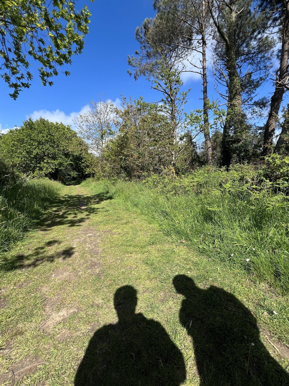 La presqu’île de Merrien