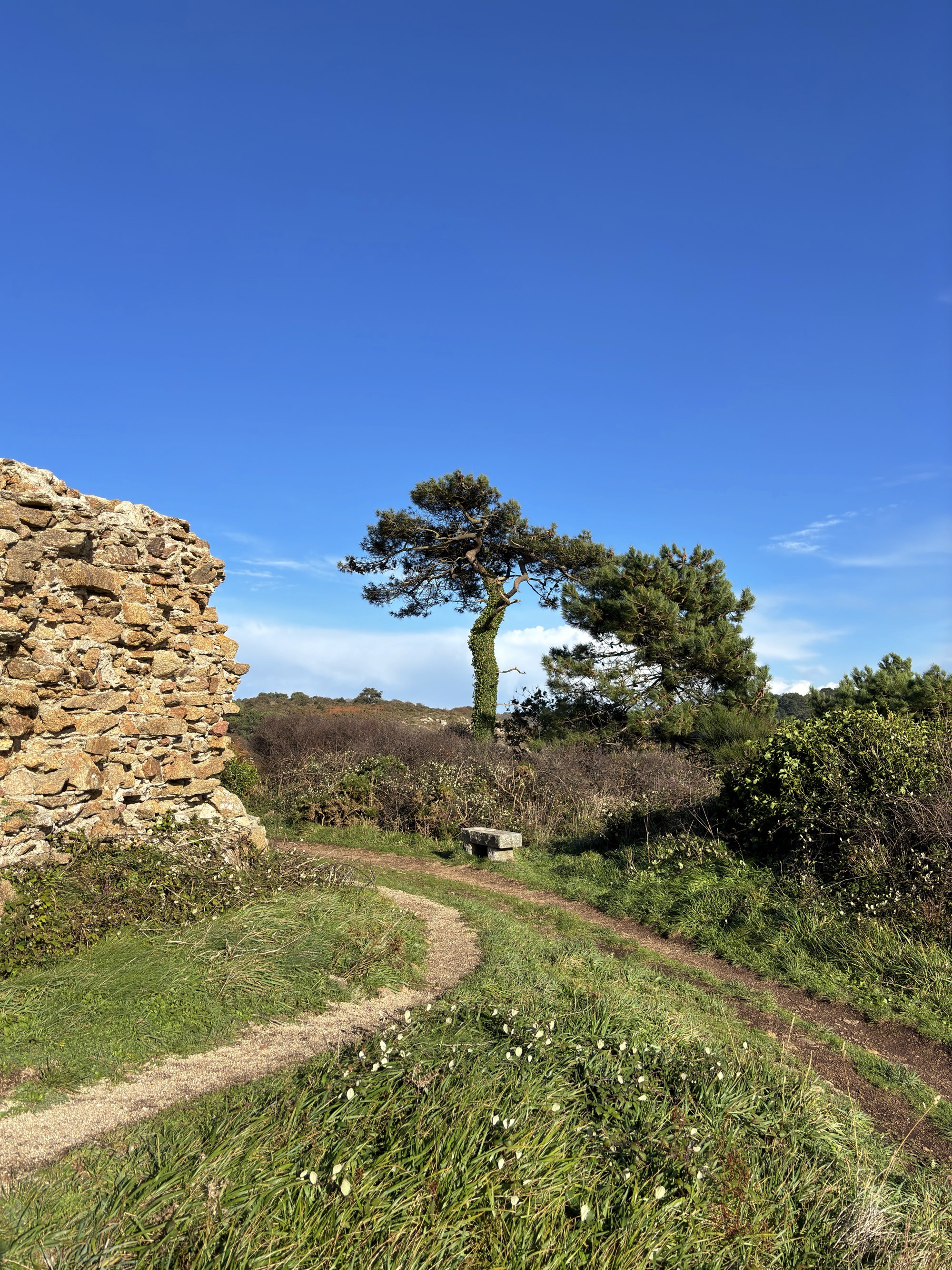 Le sentier côtier face à Port-Manech