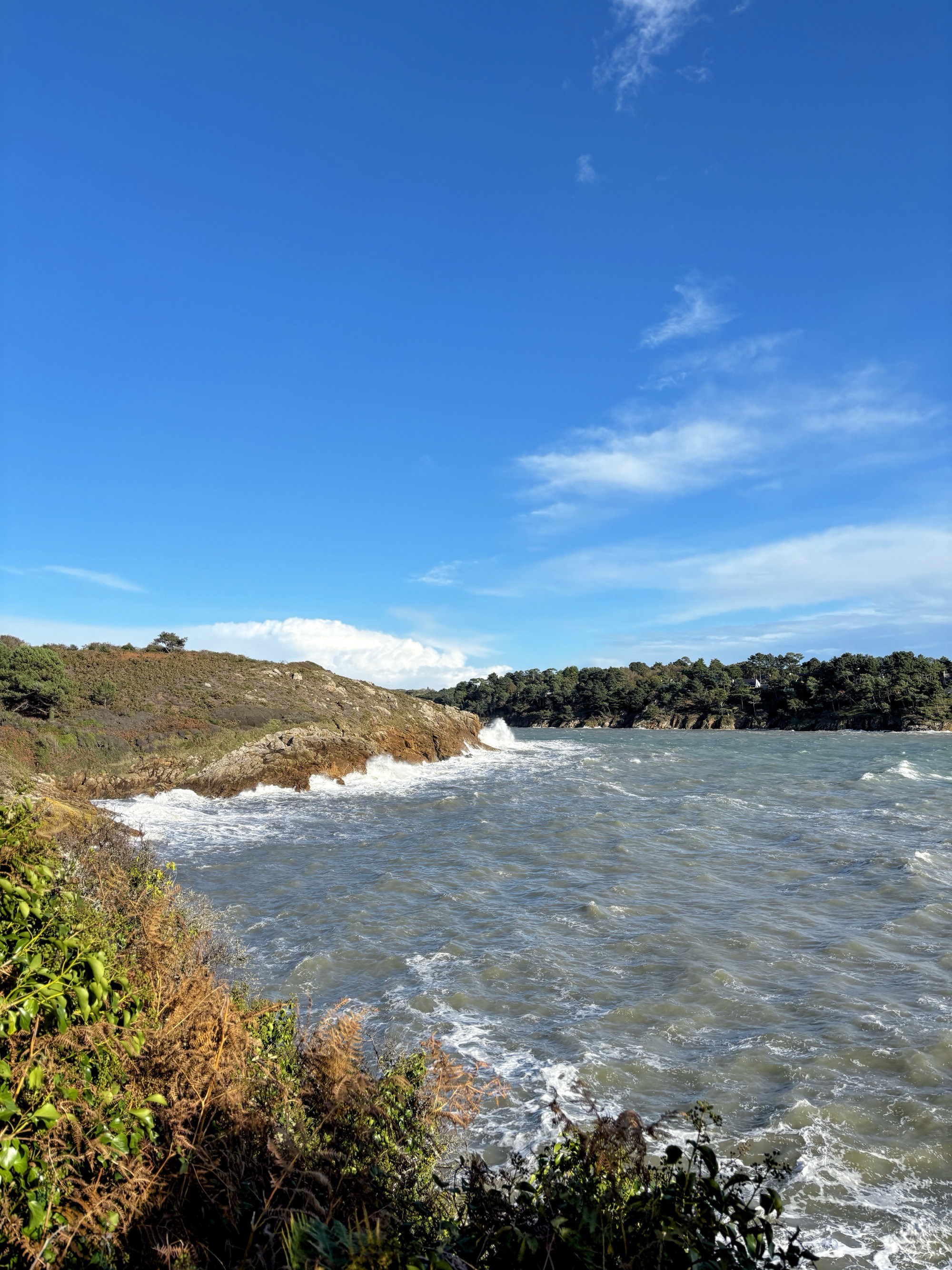 Le sentier côtier face à Port-Manech