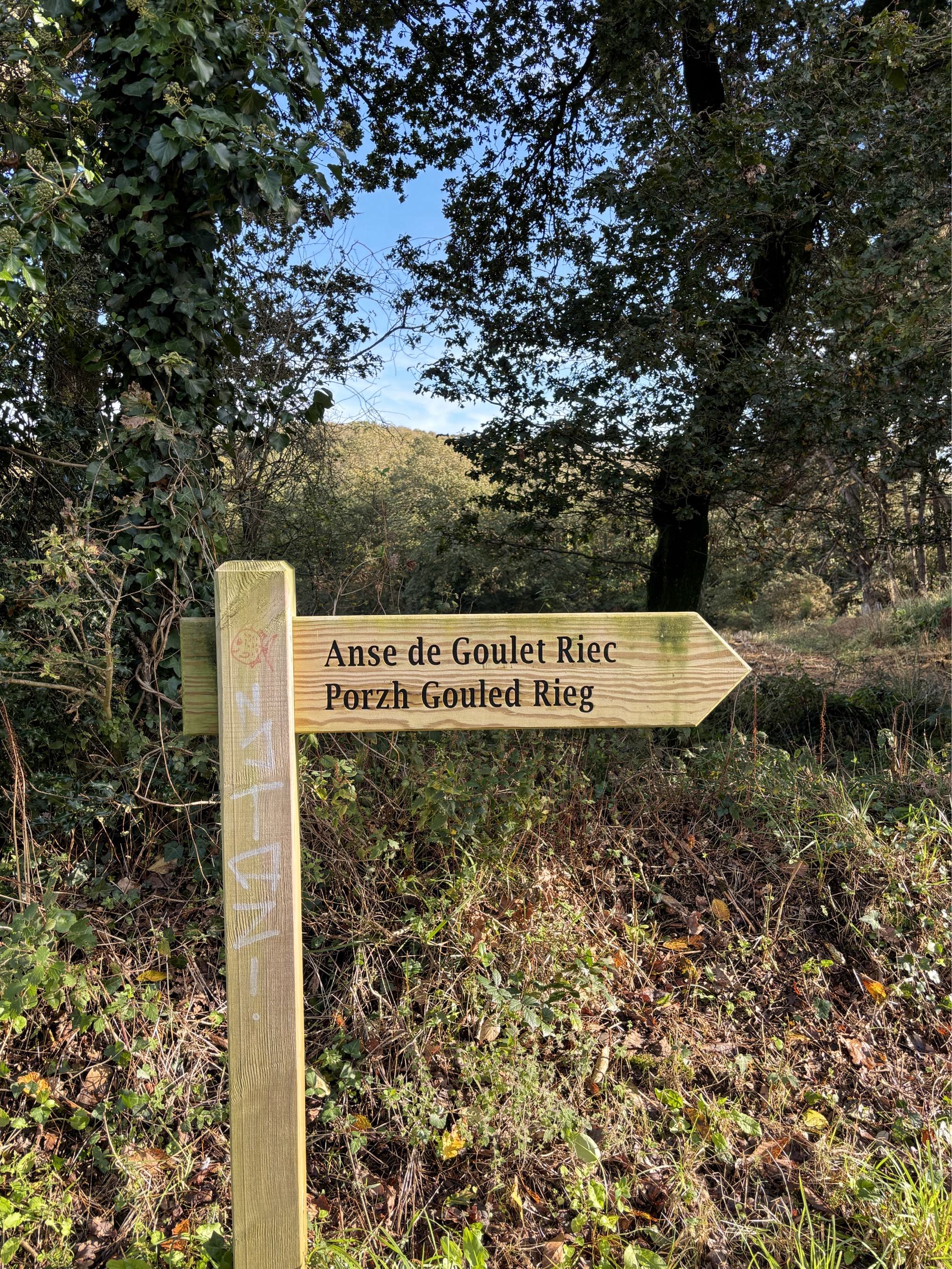 Le sentier côtier face à Port-Manech