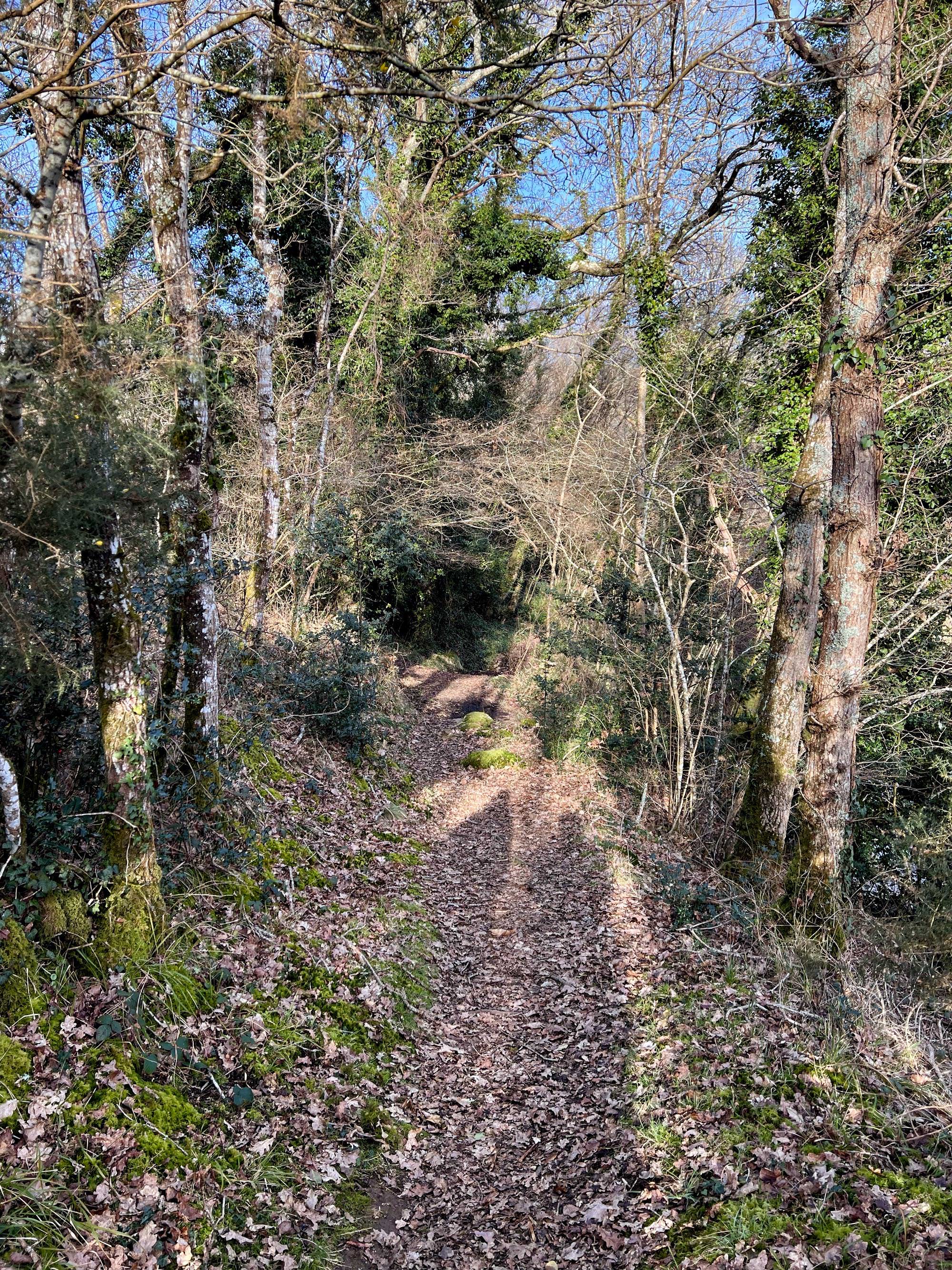 Le sentier côtier à partir du moulin Édouard