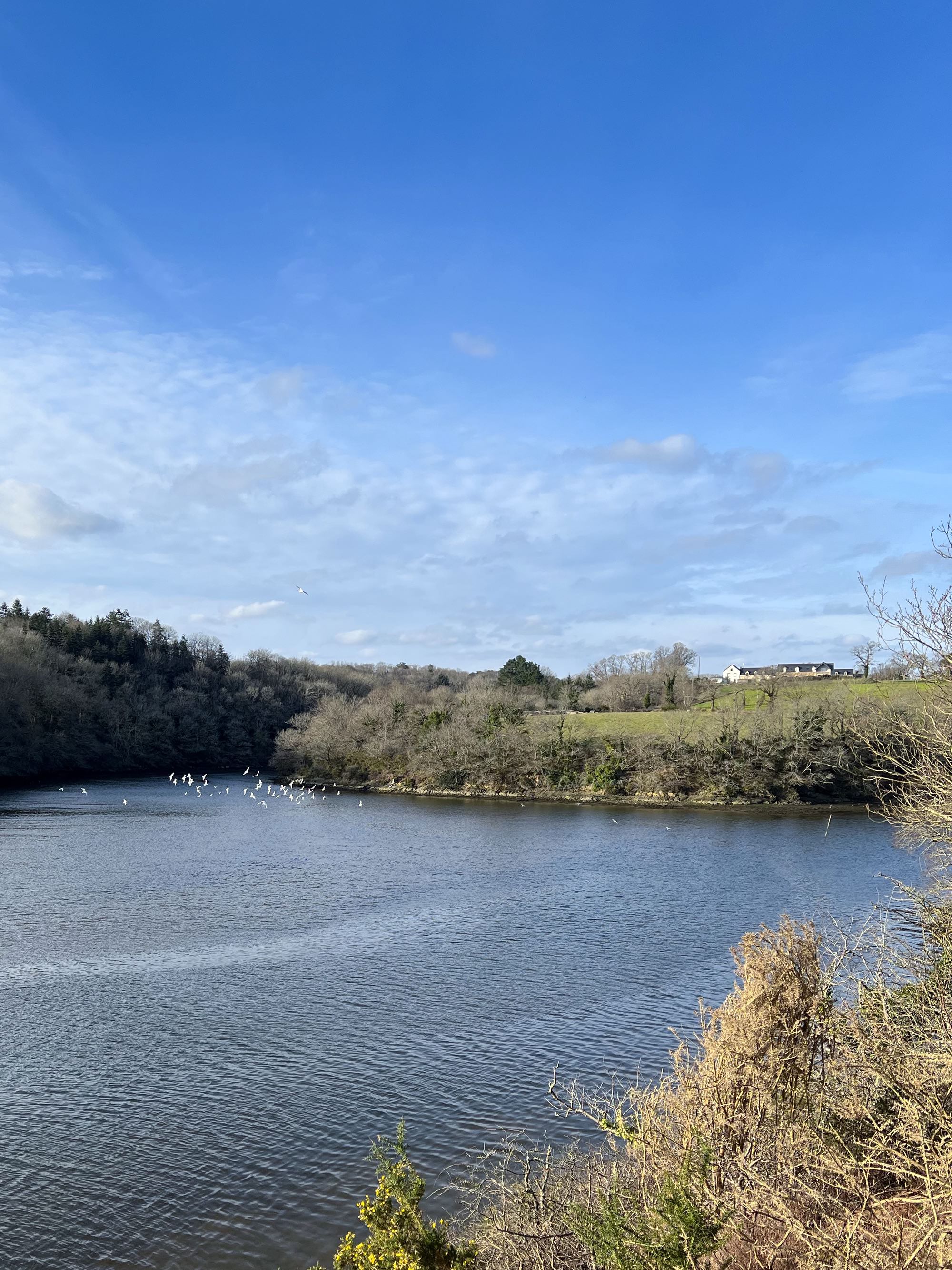 Le sentier côtier à partir du moulin Édouard