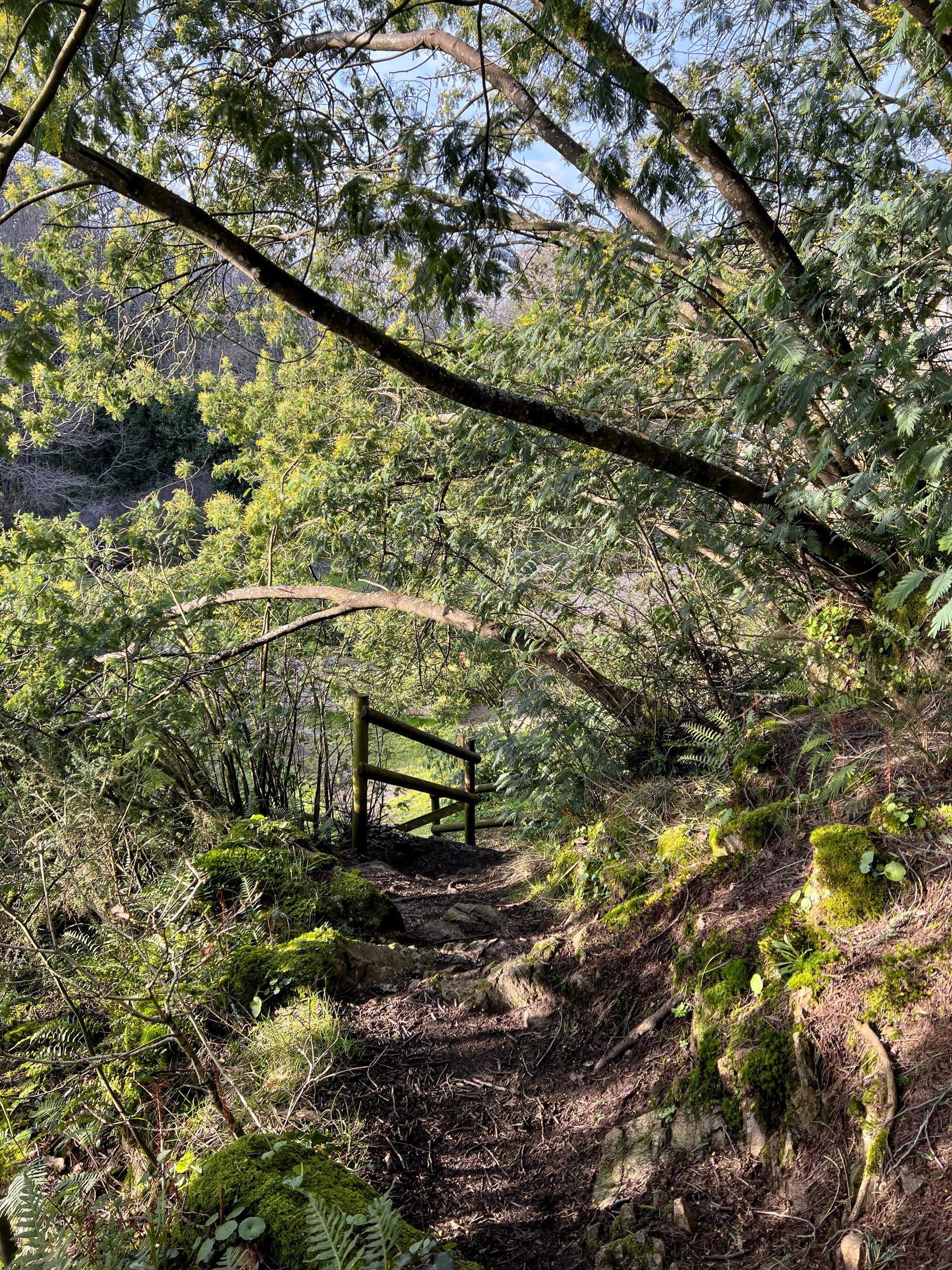 Le sentier côtier à partir du moulin Édouard