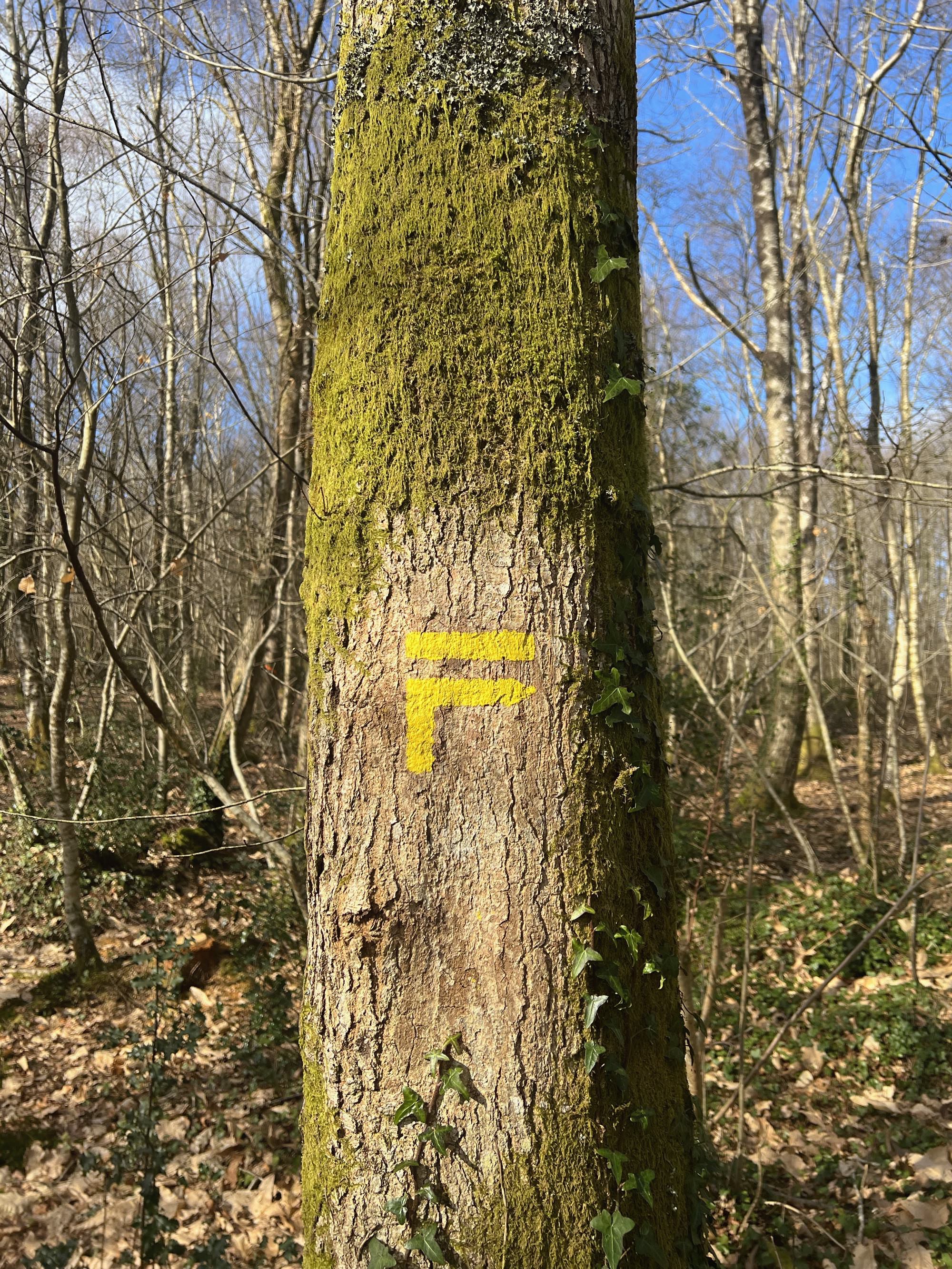 Le Stangala côté Stancou