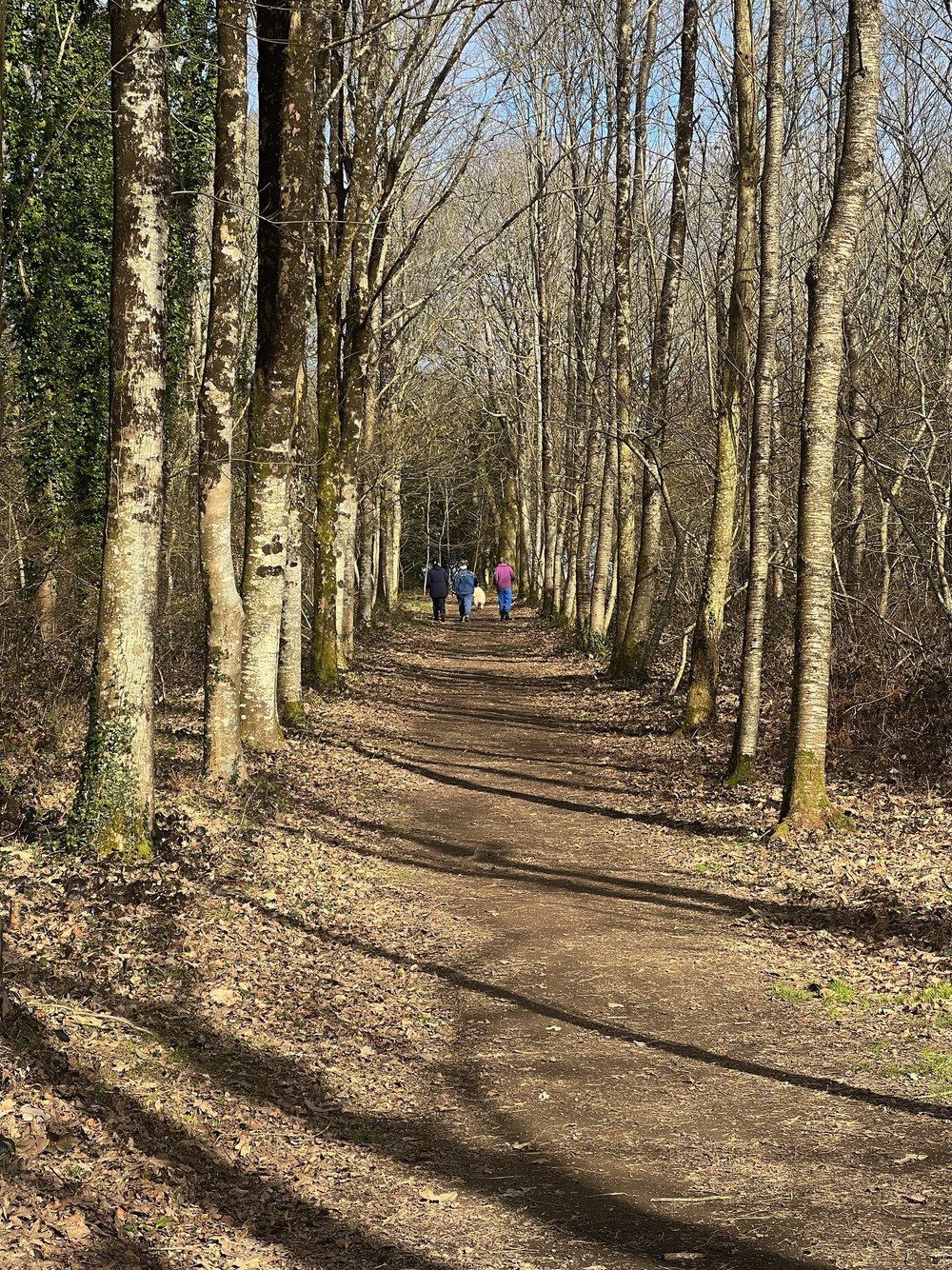 Le Stangala côté Stancou