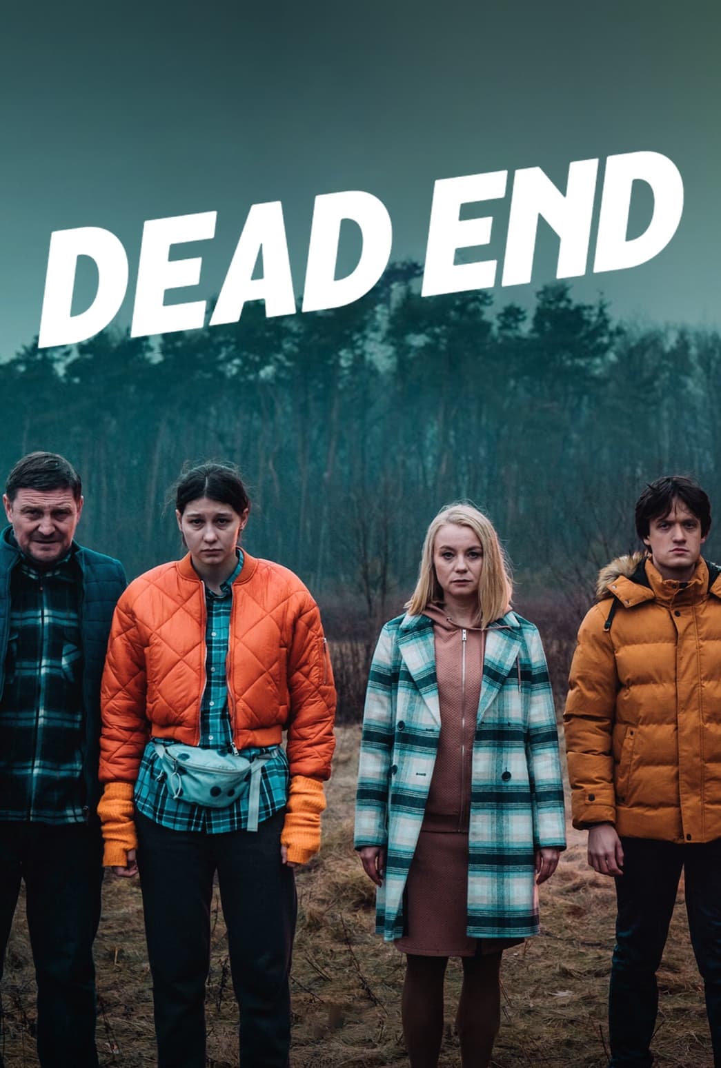Il était une fois sur la nationale 1, Netflix